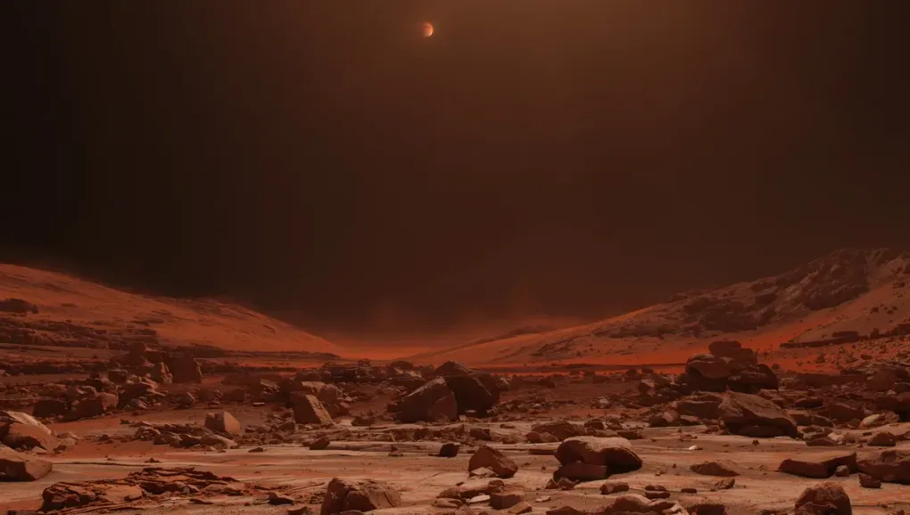 TRAPPIST-1d: Webb Narrows Possibilities for a Potentially Habitable World